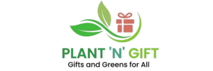 plantngift-scaled
